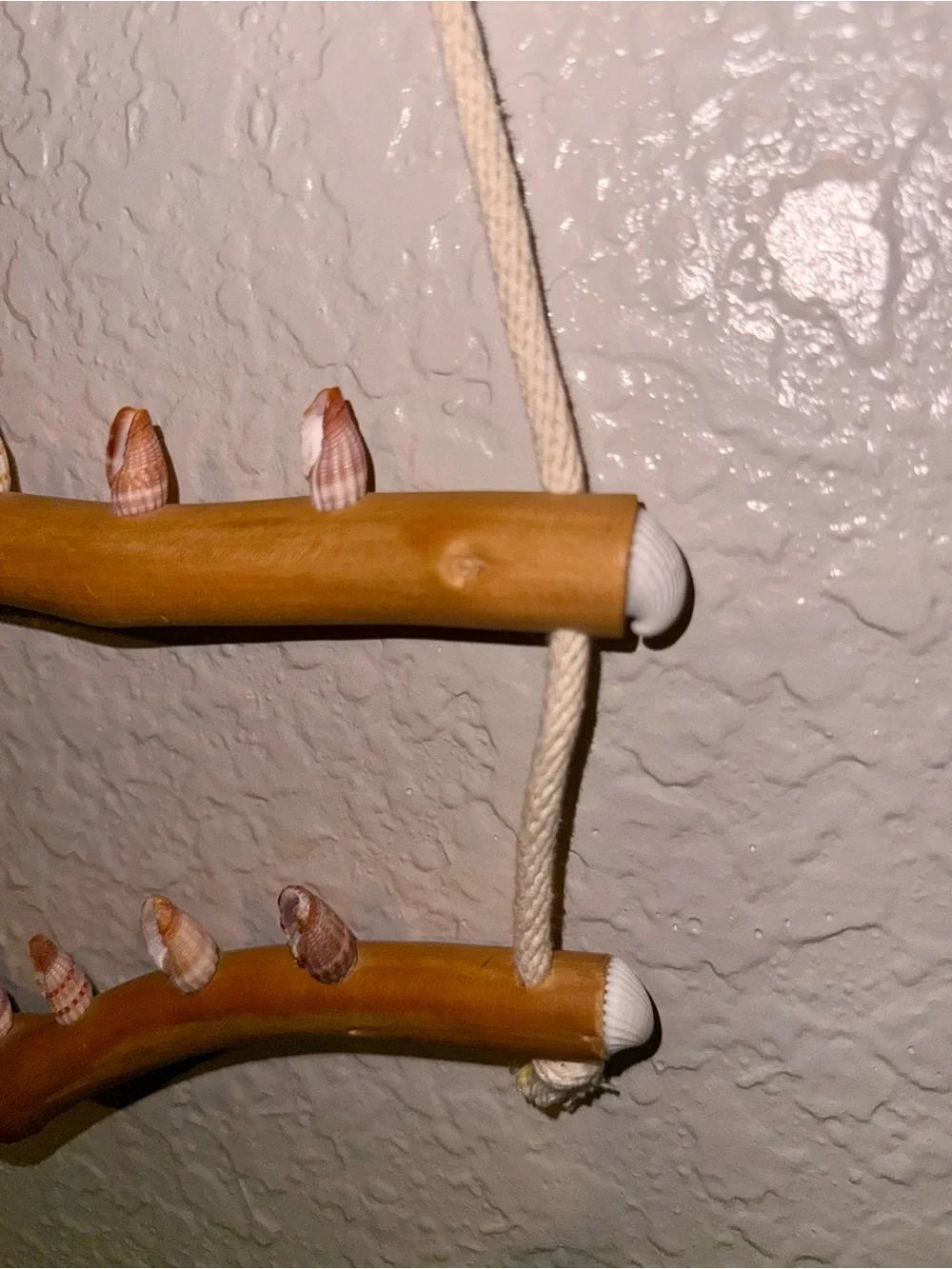 Driftwood And Rope Wall Hanging With Seashell Hooks For Jewelry